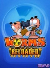 game pic for worms 2010 nokia 400x240